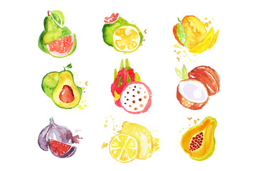 Set of tropical colorful watercolor fruits vector Illustrations