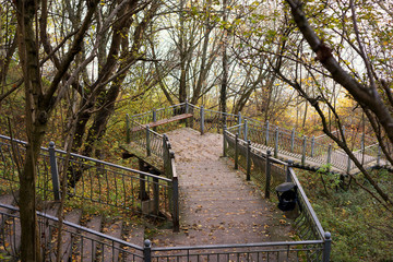 Descend the stairs in the autumn forest