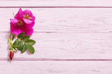 Fototapeta na wymiar pink roses on wooden table