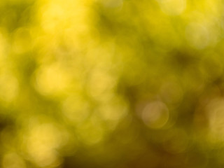 Background with effect of bokeh. Defocused leaves of trees. Abstract blurred view on trees spring and summer season. Sunny picture of nature. Landscape out of focus.