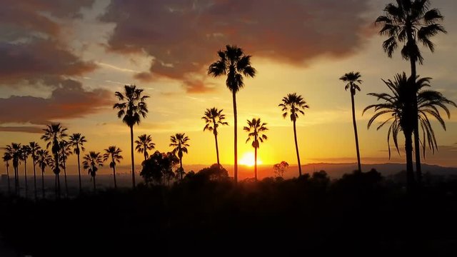 Silhouette of palm trees and a beautiful sunset.