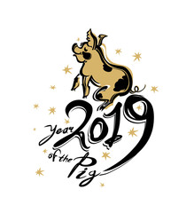 Pig 2019. New Year card. Chinese calendar for the year of pig 2019.