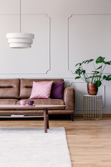 Plant on table next to leather sofa with cushions in bright flat interior with table under lamp....