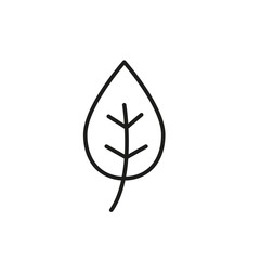 Leaf outline icon vector