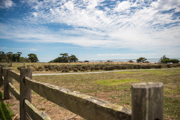 Fototapeta na wymiar wooden fence in a field