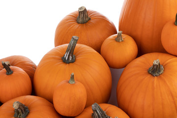 Heap of orange pumpkins