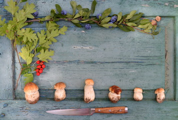 Pilzsaison. 6 kleine Steinpilze auf altem türkisen Holzbrett, dekoriert mit Messer, Zweigen und...