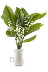 Beautiful bouquet of lilies of the valley flowers, Convallaria Majalis, with green leaves in white cup on white background