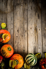 Autumn pumpkins background