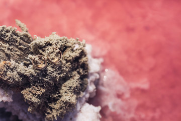 wedding rings on wood in a salt pink lake.