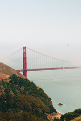 Fototapeta premium golden state 1