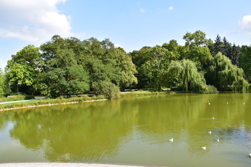 Fototapeta premium Lazienki park Varsavia