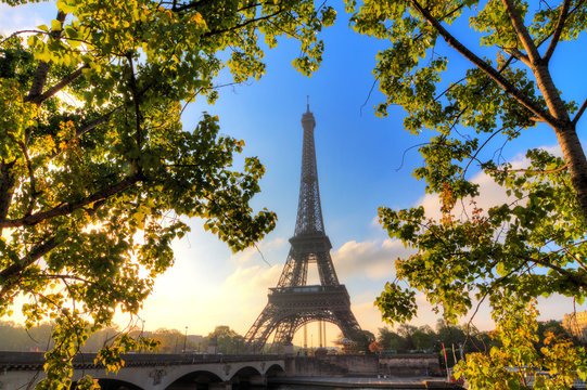 Beautiful green spring leafs at the Eiffel tower in Paris, France
