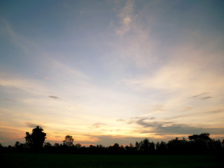 Fototapeta na wymiar Beautiful Sunset, sunlight and tree field landscape in the evening.