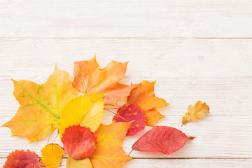 Naklejka na ściany i meble autumn leaves on white wooden background