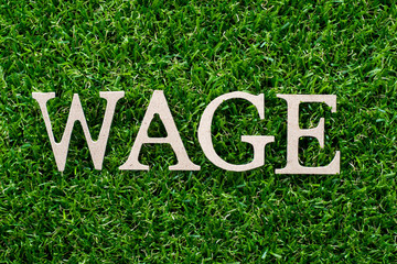 Wood letter in word wage on artificial green grass background