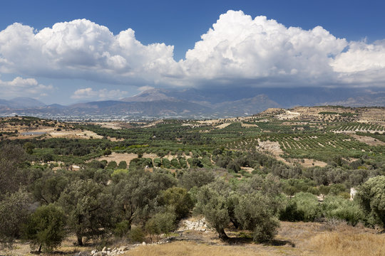Landschaft in der Messara Ebene auf Kreta, Griechenland