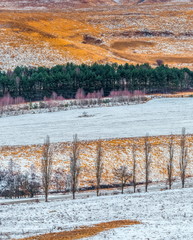 The steppe in the mountains. The winter steppe. Orange, grass with snow. Colorful background.