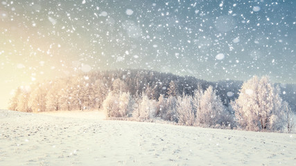 Idyllic winter landscape in snowfall. Christmas and New Year time. Snowflakes fall on snowy meadow with frosty trees. Perfect winter scenery. Xmas nature background with sunlight.
