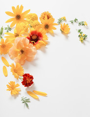 yellow and orange flowers on white background