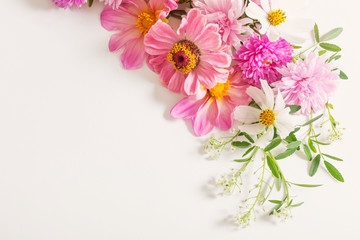 pink flowers on white background