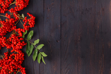 rowan berries on wooden table