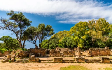 Raamstickers Ruins of Tipasa, a Roman colonia in Algeria, North Africa © Leonid Andronov