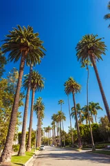 Photo sur Plexiglas Palmier Rue ensoleillée de Beverly Hills avec des palmiers