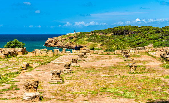 Ruins of Tipasa, a Roman colonia in Algeria, North Africa