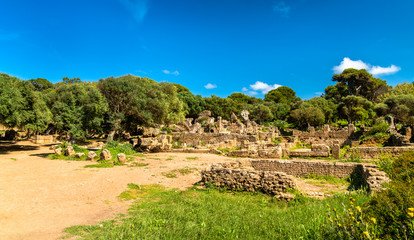 Ruins of Tipasa, a Roman colonia in Algeria, North Africa