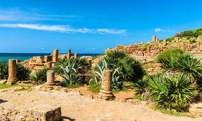 Ruins of Tipasa, a Roman colonia in Algeria, North Africa
