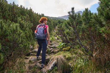 Obraz premium Woman hiking into the mountains
