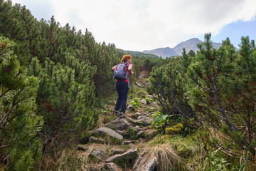 Fototapeta premium Woman hiking into the mountains