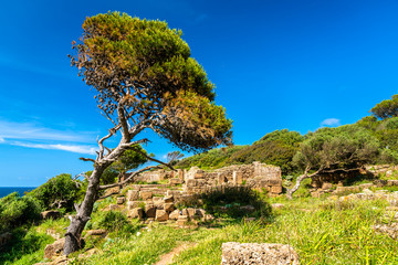 Ruins of Tipasa, a Roman colonia in Algeria, North Africa