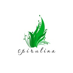 Fototapeta premium Illustration of superfood algae - spirulina in flat style. Isolated organic healthy food