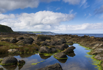 rock pool reflections