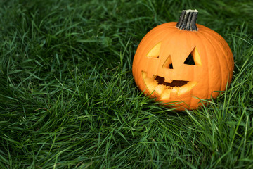 halloween carved pumpkin on grass, jack-o-lantern