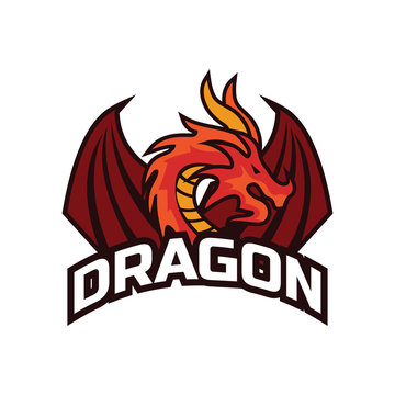 dragon logo for your business, vector illustration