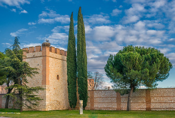 Wall of Alcalá de Henares. Tower number five. Started to build in the 13th century. At present...