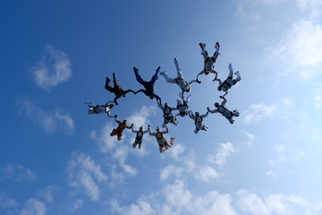 Skydiving. Formation is in the sky.