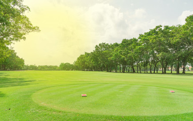 Obraz premium Starter green grass in golf court and garden background.