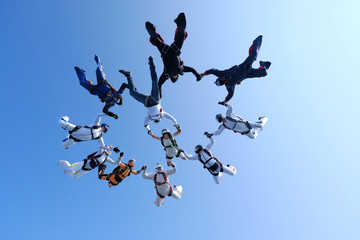 Skydiving. Formation is in the sky.