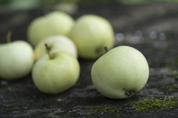 Pale yellow apples on a dark wooden surface.Pale yellow apples on a dark old  wooden table.