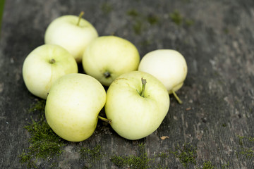 Pale yellow apples on a dark wooden surface.Pale yellow apples on a dark old  wooden table.