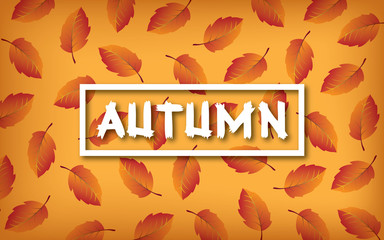 pattern autumn leave. Can use for gift paper, background and autumn greeting cards.