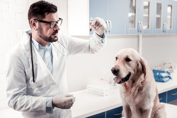 Check it attentively. Competent medical worker wearing sterile uniform and raising left hand while...