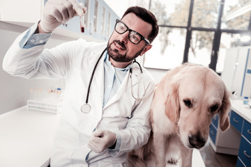 Let me see. Tired dog bowing head and looking downwards while sitting near doctor