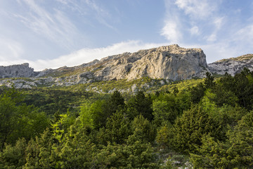Fototapeta na wymiar Big rock. Landscape rocky mountains national park 