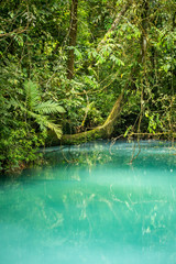 türkiser Flusslauf des Rio Celeste in Costa Rica