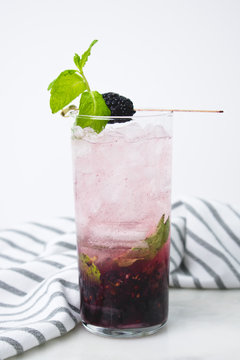 Blackberry Mojito With Garnish